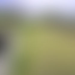 Fernández Patri: “Vamos a reacondicionar el cementerio municipal San Antonio”