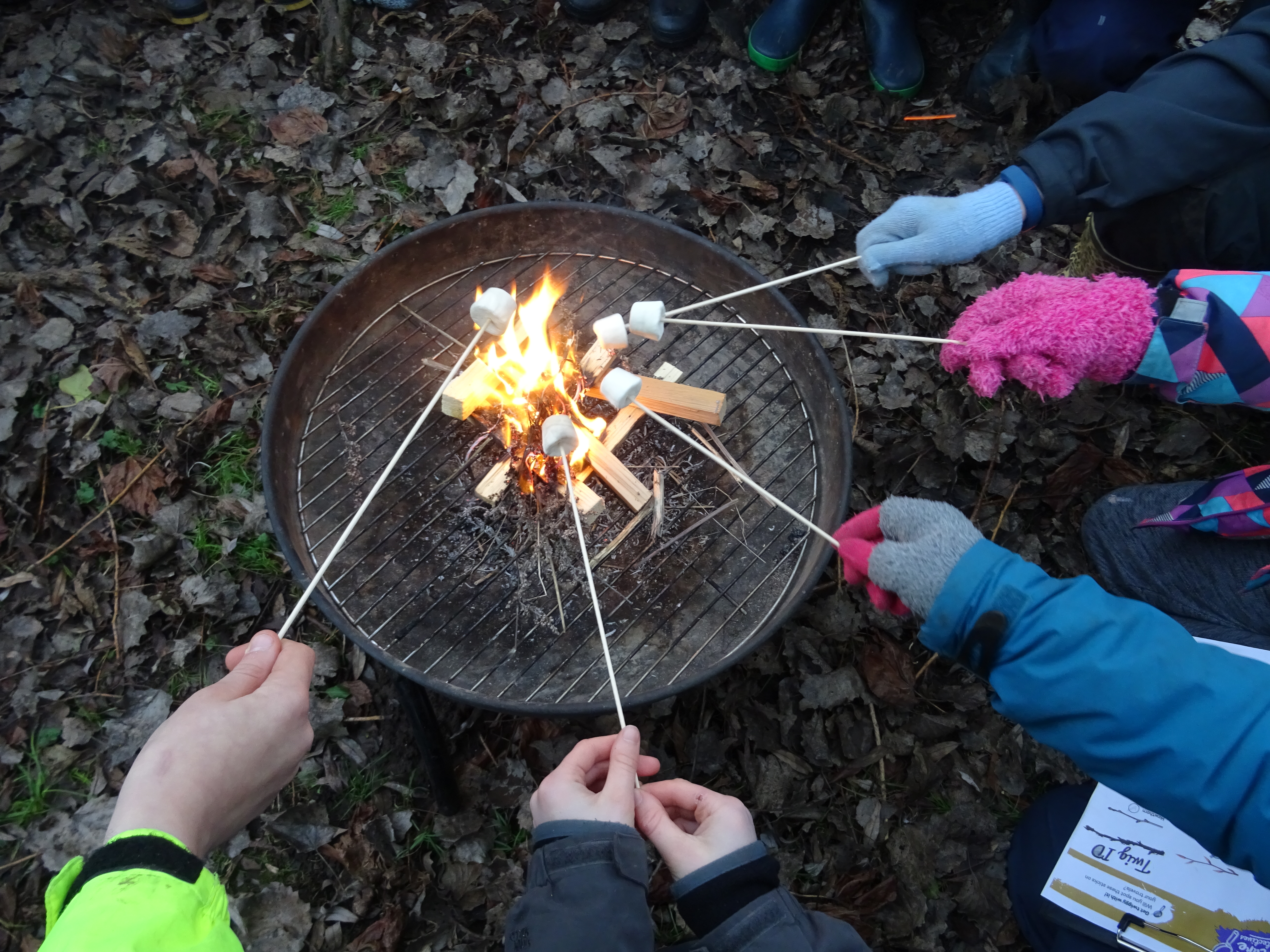 Outdoor cooking and creating recipes