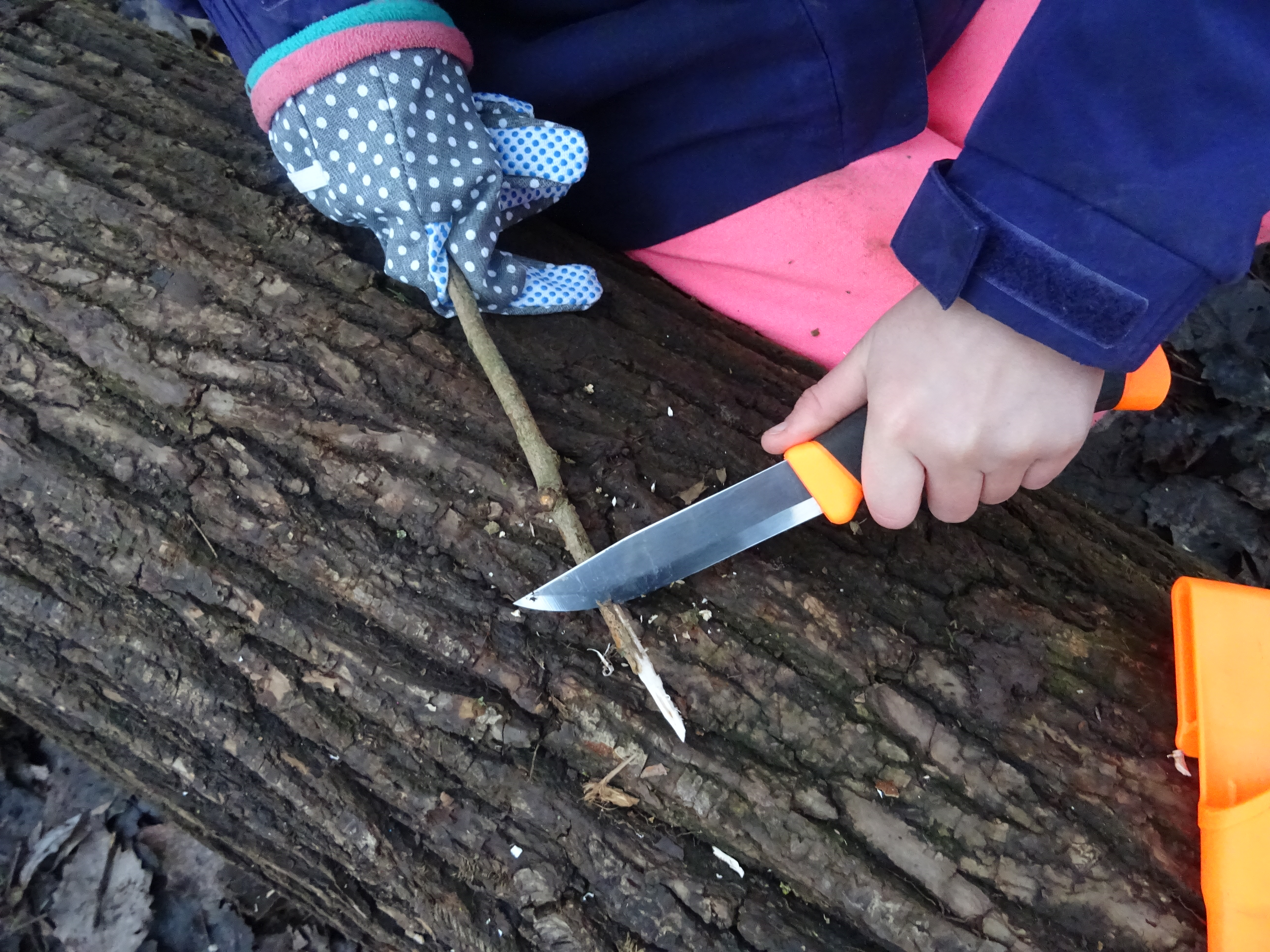 Introduction to bushcraft
