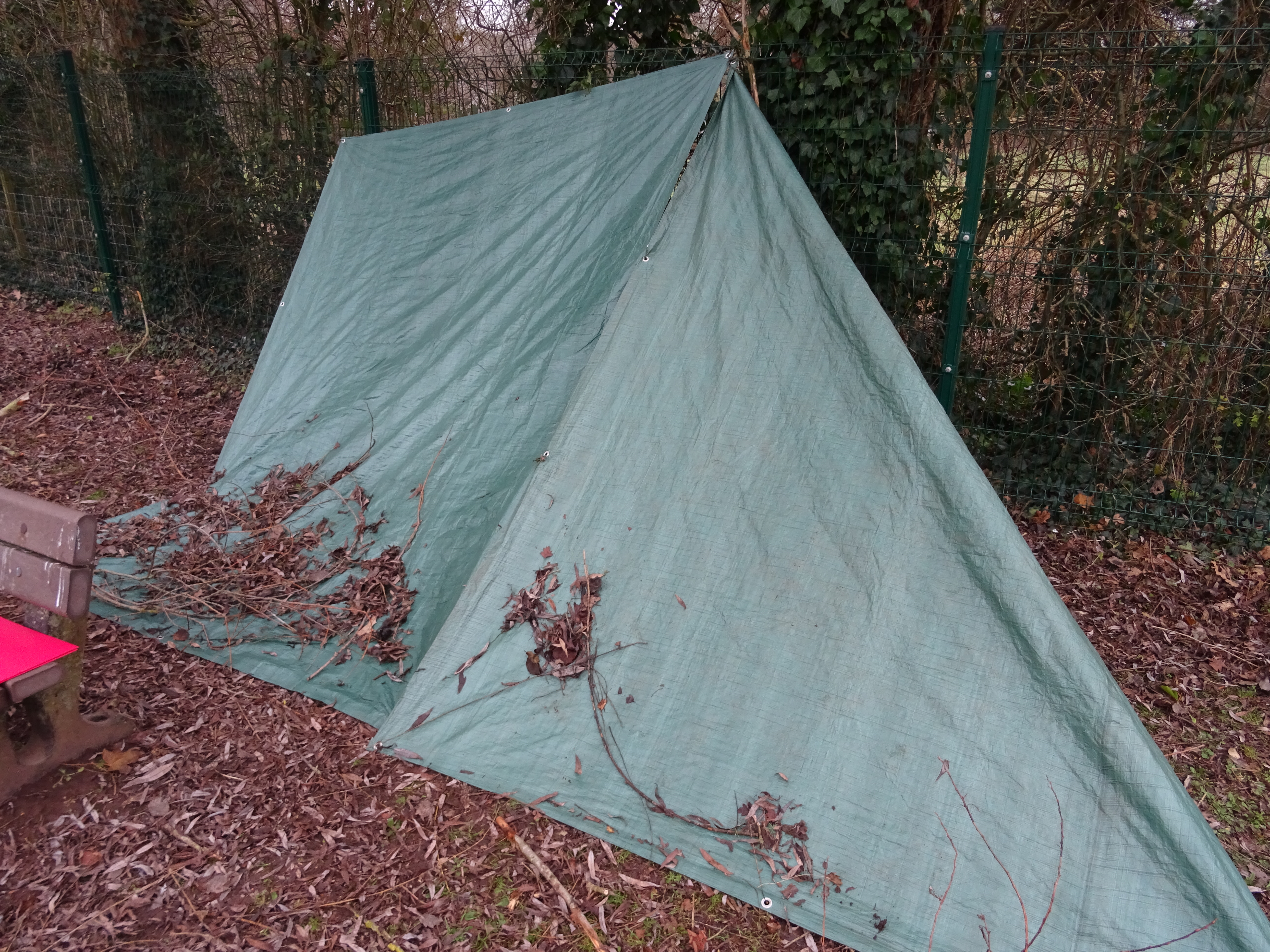 Shelter designing and building