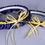 Thumbnail: West Virginia University Mountaineers Wedding Garter Set