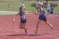 12234937_928506190567921_5598228371481505511_n