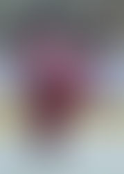 After giving 7 years of his life to this sport, my 12 year old son Oakley broke down sobbing...