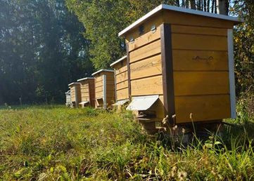 Beehives