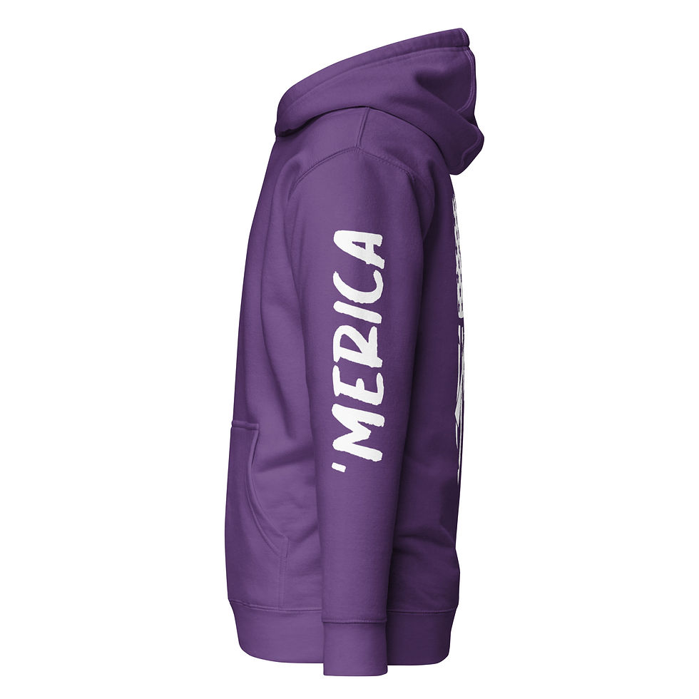 Thumbnail: AR-15s Crossing Hoodie with American Flag