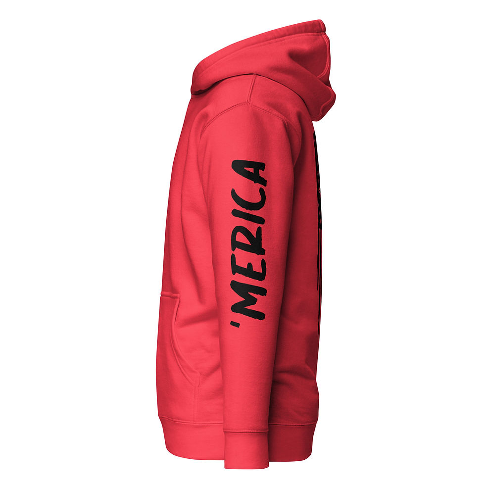 Thumbnail: Soldier on Guard Hoodie