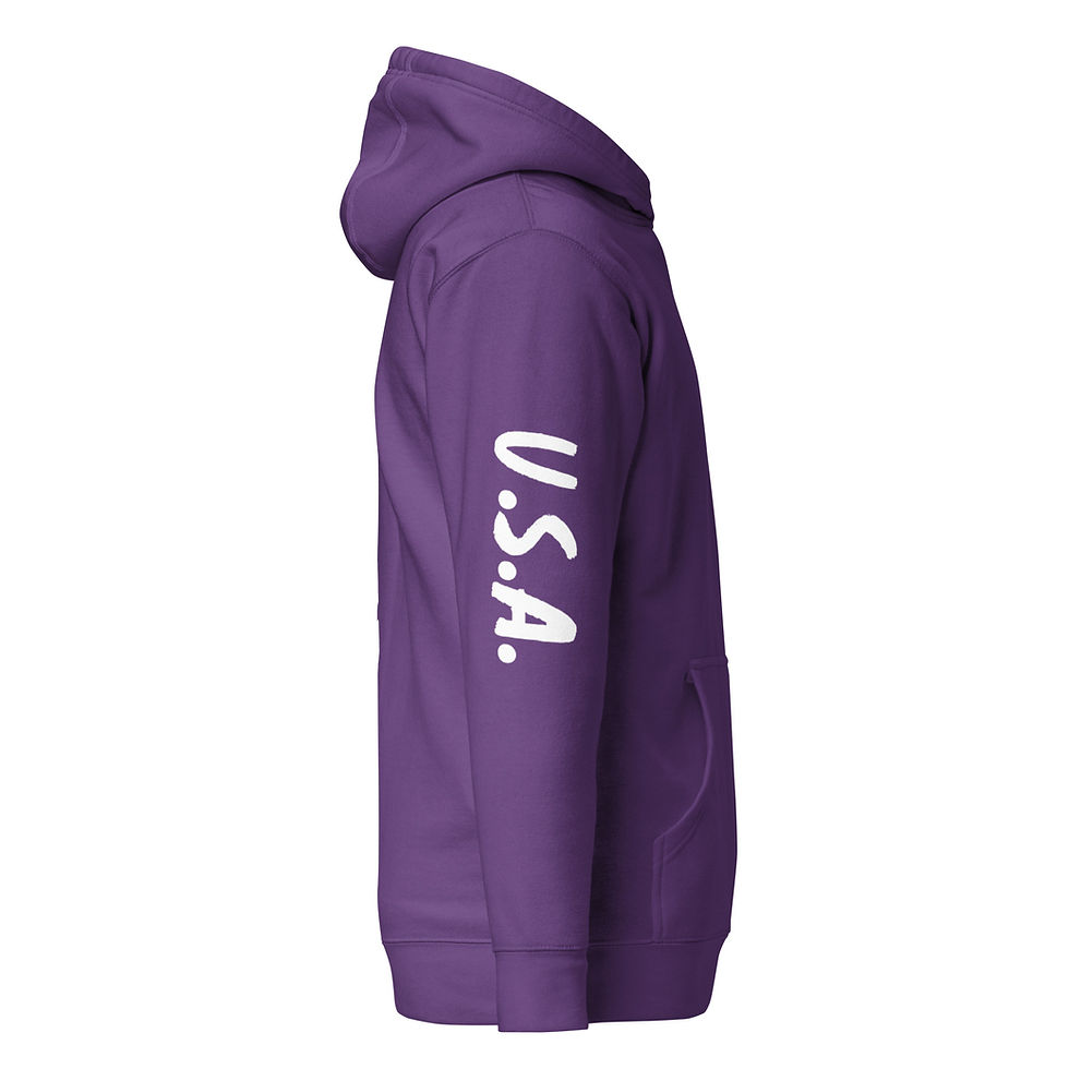 Thumbnail: Bullet/Ammo Hoodie with American Flag Background