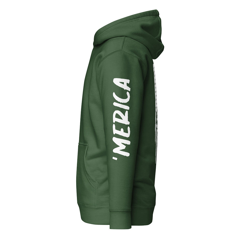 Thumbnail: Paratrooper Hoodie with American Flag Background