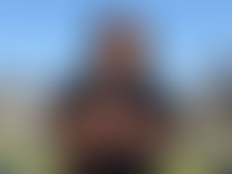 "It’s Our Backyard": A Conversation with Margaret Wright