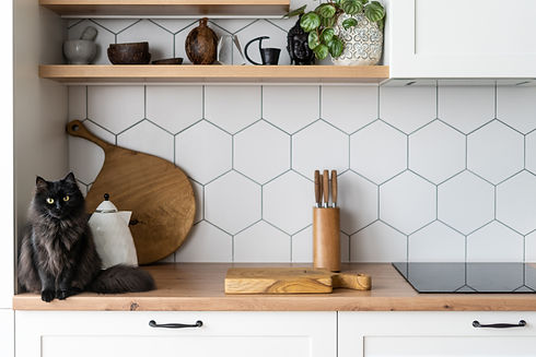 Cropped view of contemporary kitchen interior design. Stylish surface with decor and cute