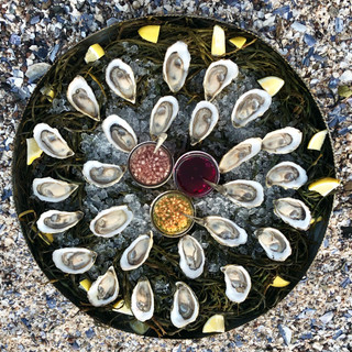 BHBlonde.Oysters.jpeg