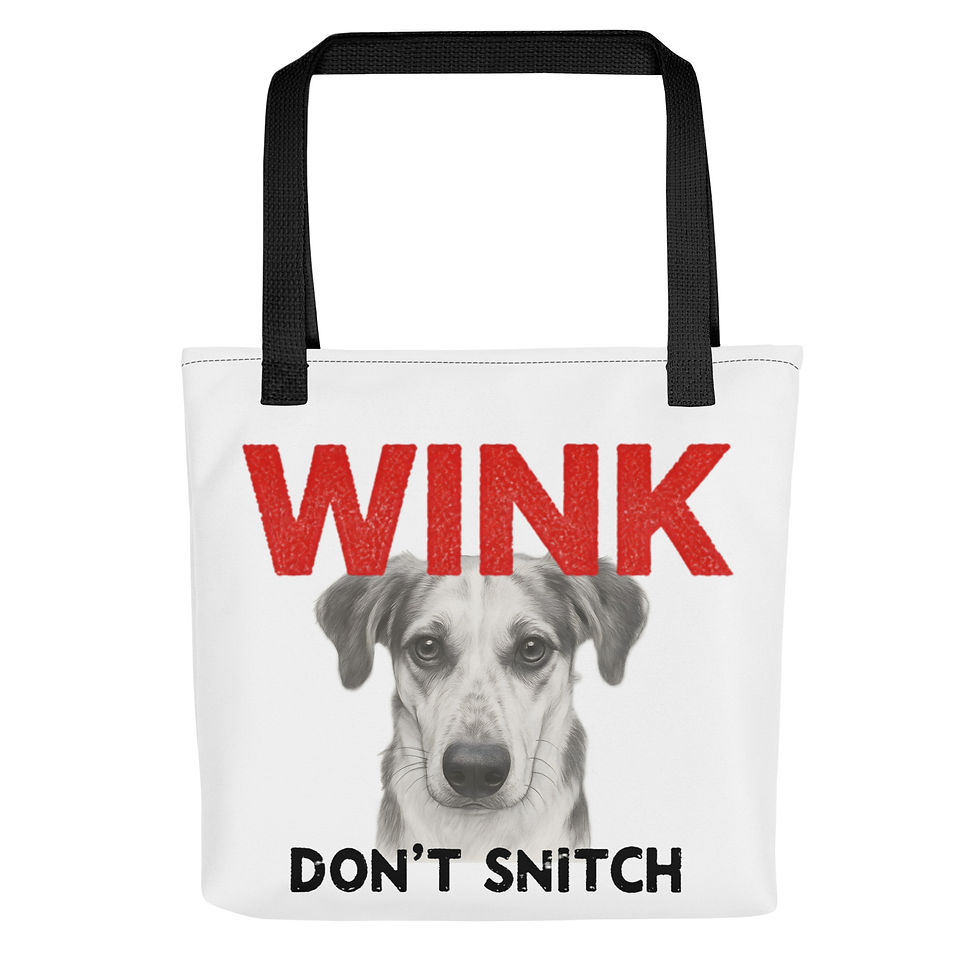Thumbnail: Wink Don't Snitch Evidence Tote