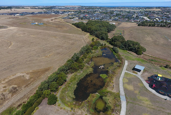 wetland link.JPG