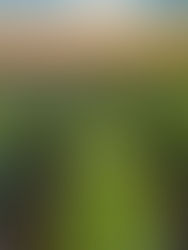 Weekendje weg naar de Champagnestreek