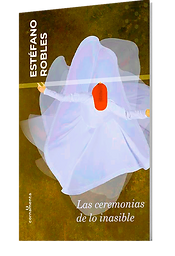 cdi_mockup_portada_rojo.png