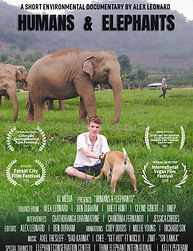 9ac2a2e63d-poster.jpg