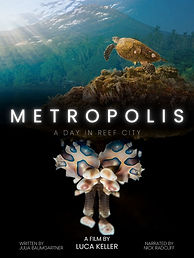 METROPOLIS A DAY IN REEF CITY.jpg