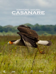 WINNER NATURAL TERRITORY, CASANARE.jpg