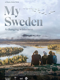 MY SWEDEN.jpg