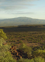 MT SUSWA LIFE IN A VOLCANO.jpg