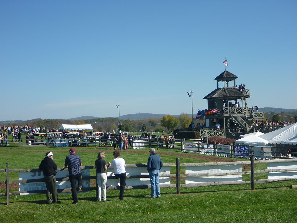 Paddocks and the judge's tower