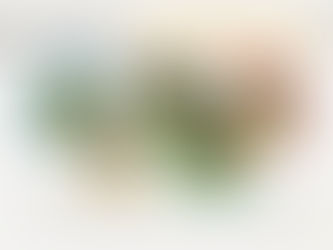 Les AnimOlympiques : que la compétition commence !