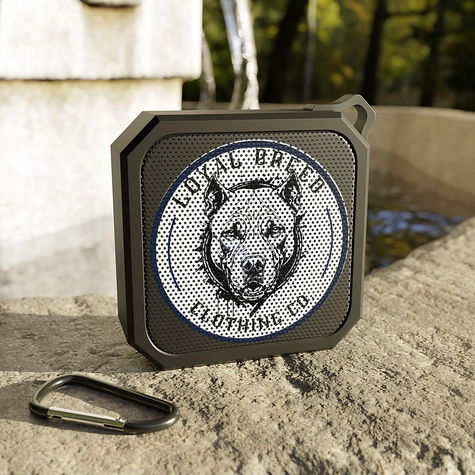 Thumbnail: Blackwater Outdoor Bluetooth Speaker