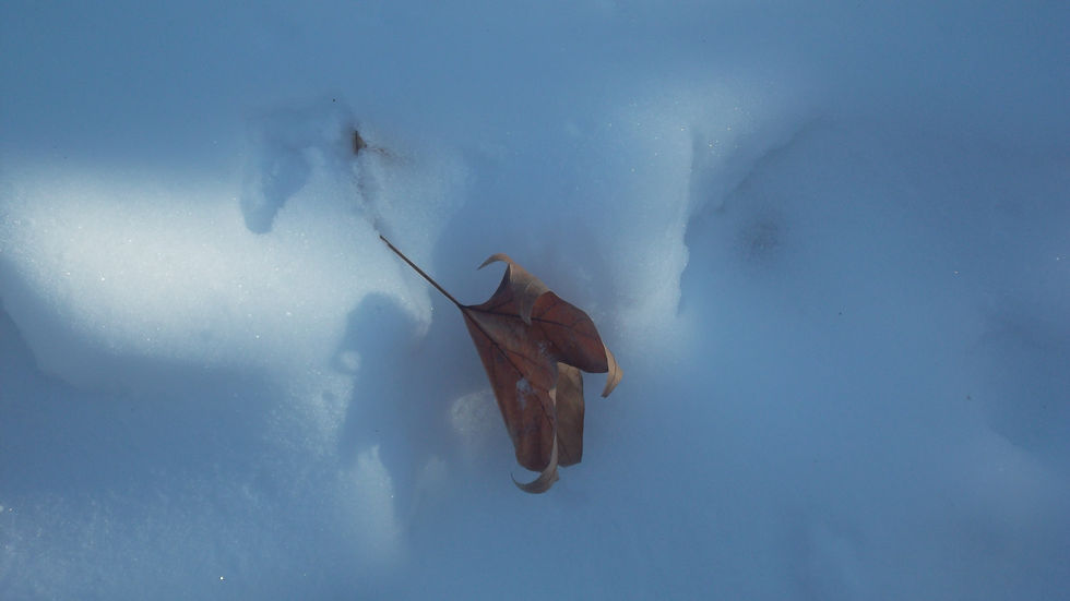 ...give thy fears to me, let me cast them away to be slain by the snow