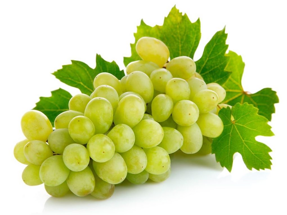 Seedless Green Grape