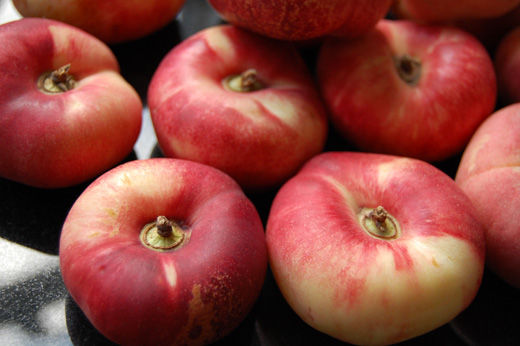 Donut Peach