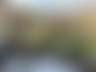 Matrimonio tutto bianco: eleganza senza tempo tra fiori, stile e ispirazione