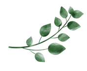 green-leaves-png-full-hd-png-58102.png