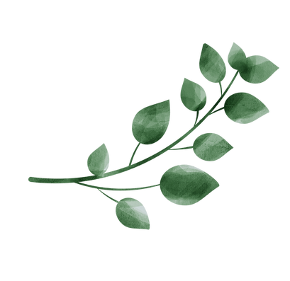 green-leaves-png-full-hd-png-58102.png
