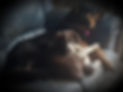 Dee%20and%20Kici%20July%202019%201297_edited.jpg