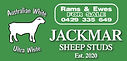 Jackmar Sheep Studs.jpg