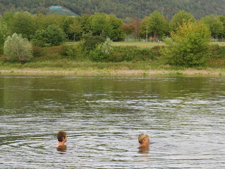 65@65 SWIM #18, DRESDEN, RIVER ELBE