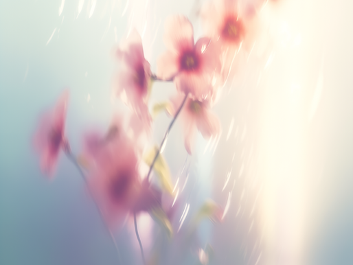 Felce Azzurra debutta con “Azzurra”, ambassador digitale per la Gen Z