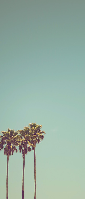 ev-miIeeCgN1m8-unsplash.jpg
