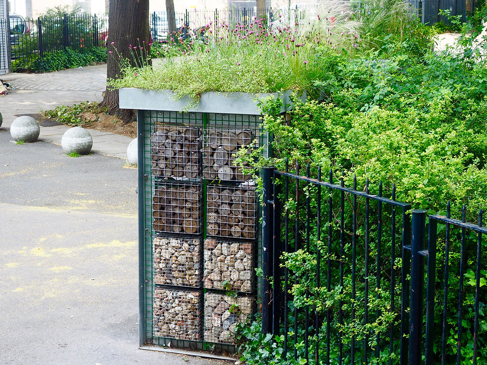 Disquising bins with planting, both on the growing roof and the hedge behind.