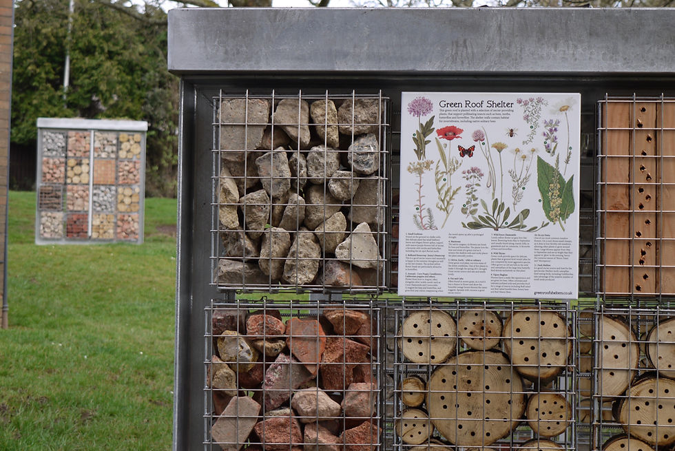 Close up of our habitat gabions on bin shelters.