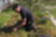 A man kneels on the green roof of a metal bike shelter. He is examining the plant species growing there.