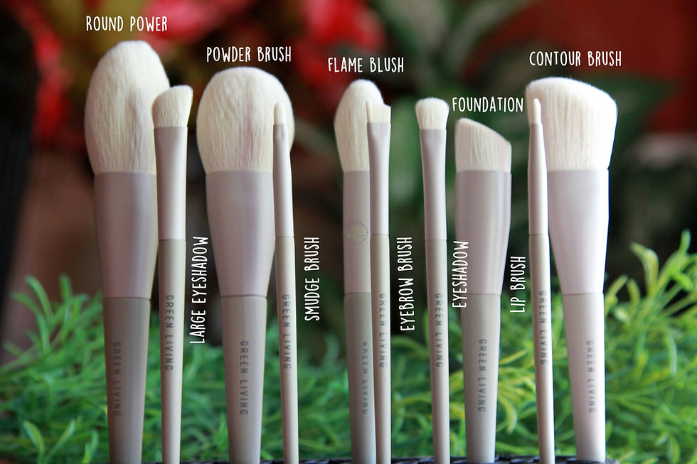 Eco-Friendly 10 Pc Makeup Brush Set