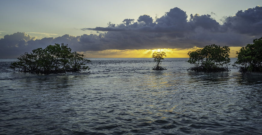 Sunrise behind the mangroves off Boca Chita Key beach