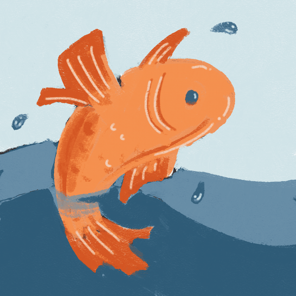 Fishy Food - GIF