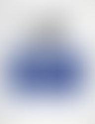 Developing Enterprise iOS Applications: iPhone and iPad Apps for Companies and Organizations