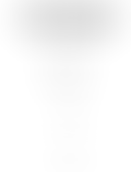 التاريخ الاسلامي  العهد الأموي