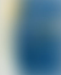 Web Design: A Beginner's Guide