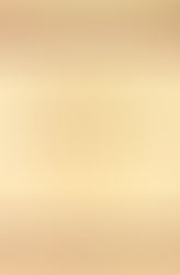 الإنسان القانوني