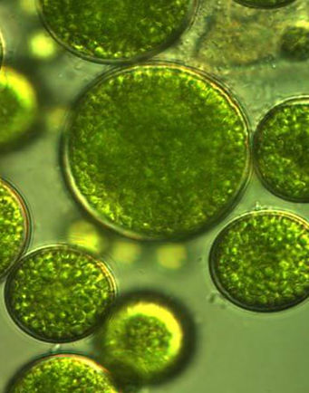 Screenshot 2025-11-25 122012_edited.jpg