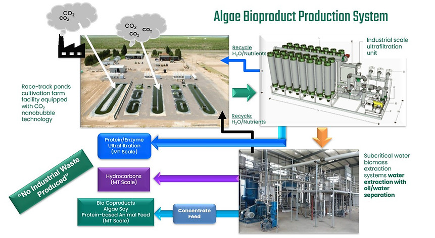 Algae Bioproduct Production System.jpg